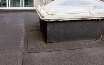disadvantages of Painthorpe flat roofs